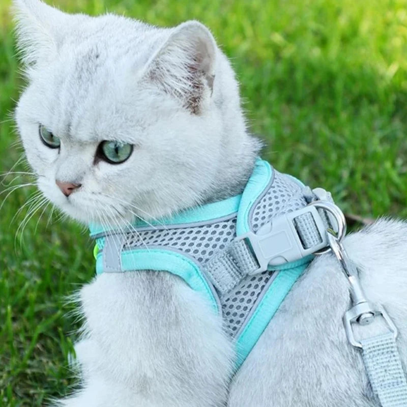 Cat Mesh Harness Leash