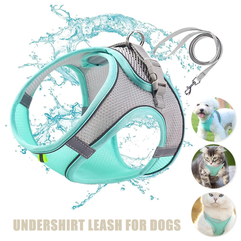 Cat Mesh Harness Leash